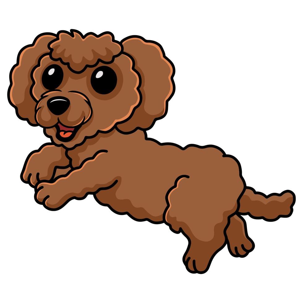 mignon, caniche jouet, chien, dessin animé vecteur