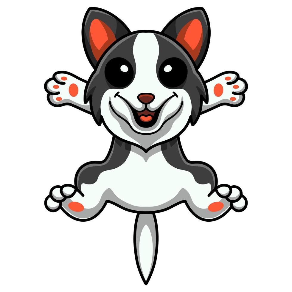 dessin animé mignon chien border collie vecteur