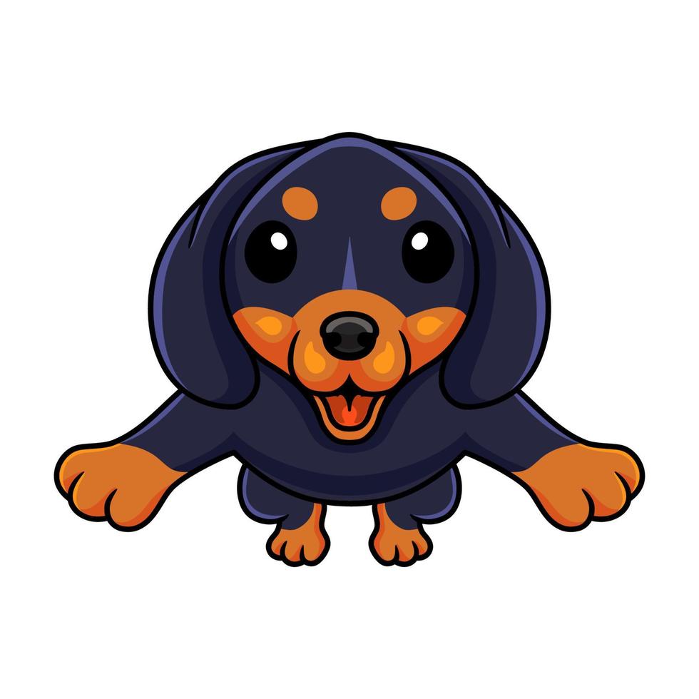 dessin animé mignon chien dashund sautant vecteur