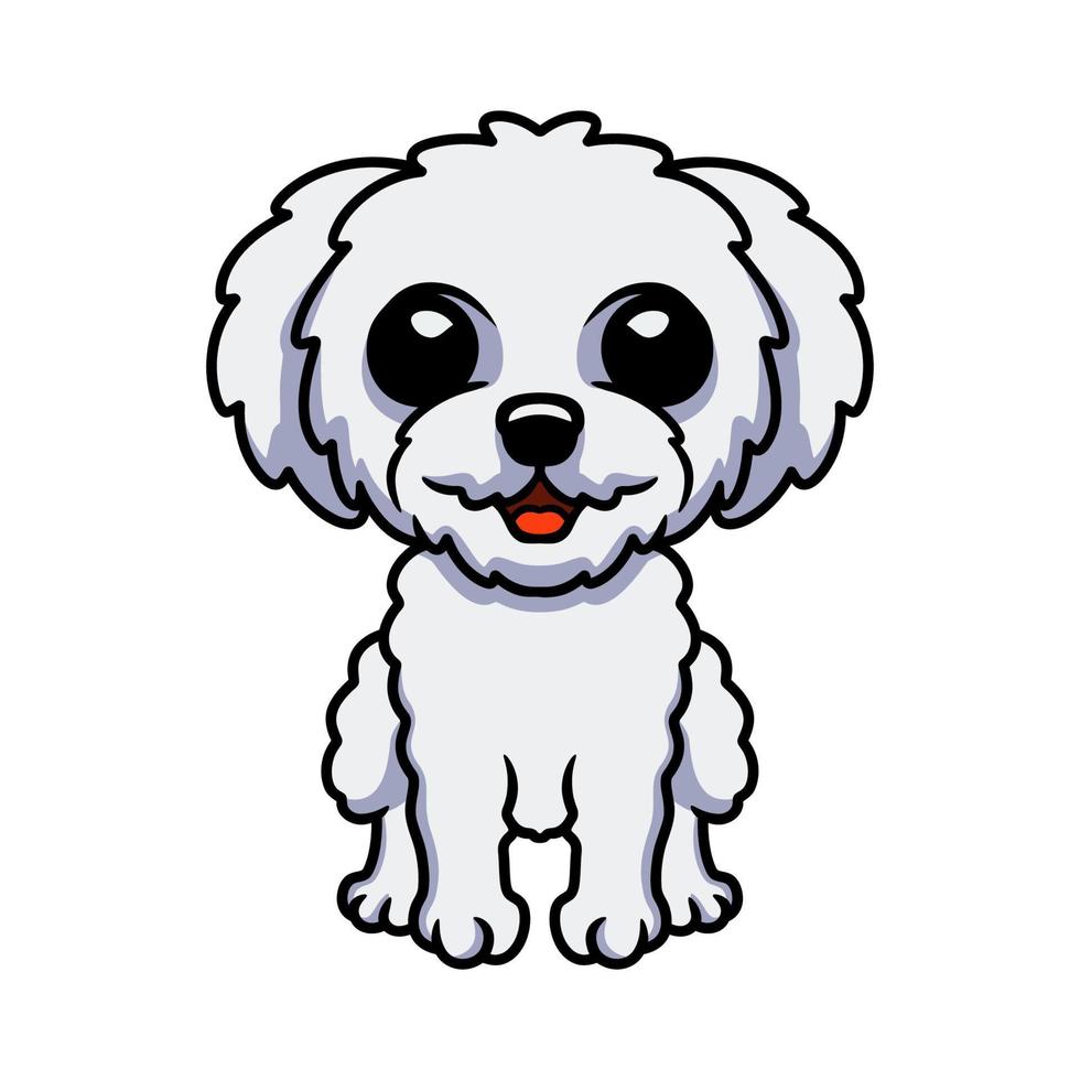 dessin animé mignon bichon frisé assis vecteur