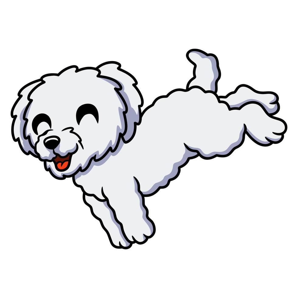 mignon, bichon, frise, dessin animé, sauter vecteur