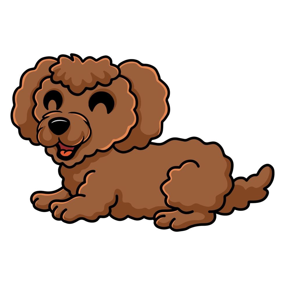 dessin animé mignon chien caniche toy fixant vecteur