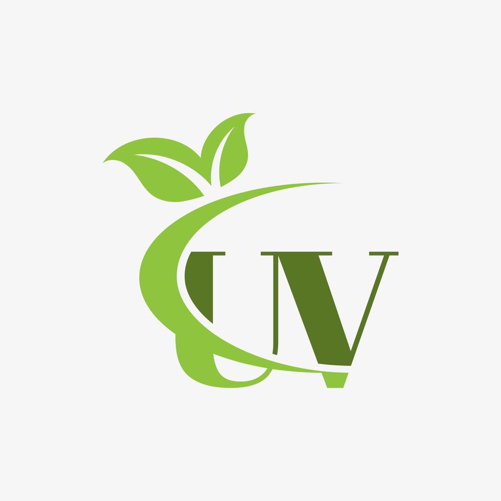 logo de lettre uv avec vecteur d'icône de feuilles swoosh. vecteur professionnel.