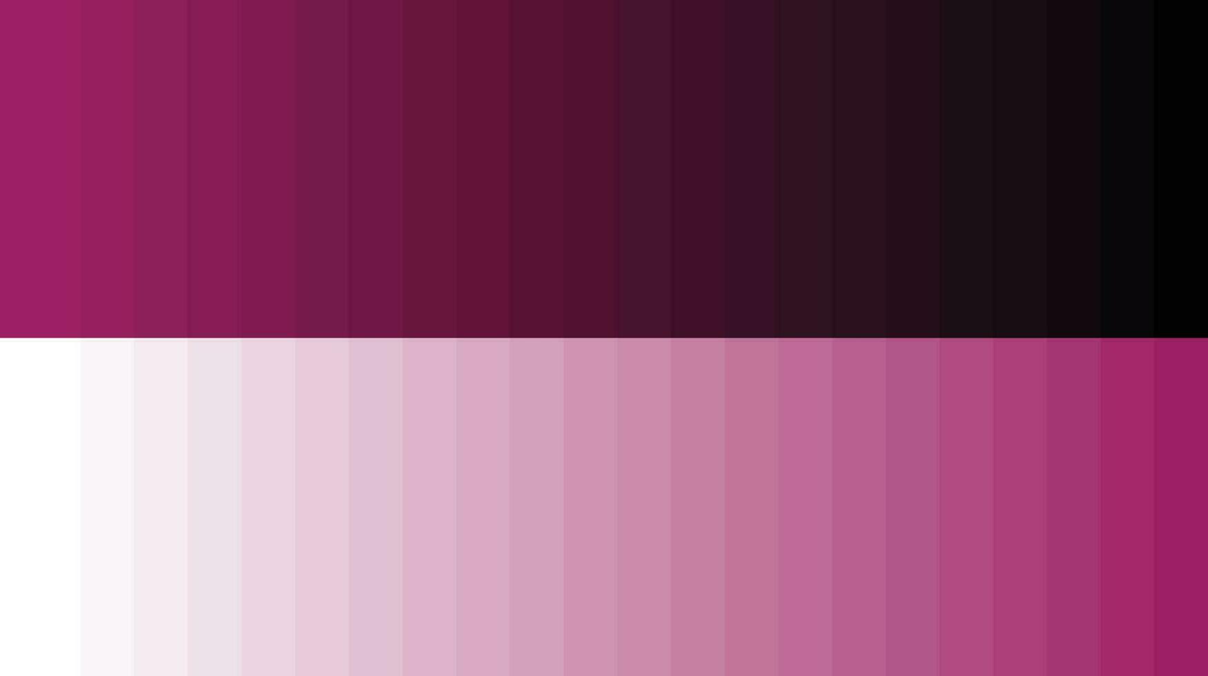 palette de couleurs rose vecteur