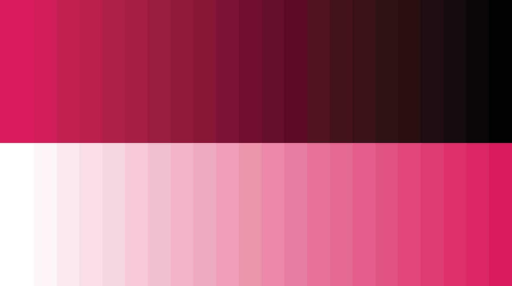 palette de couleurs rose vecteur