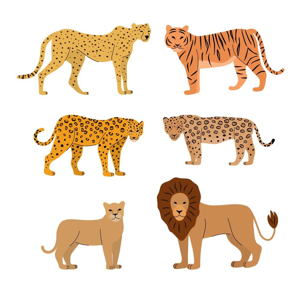 ensemble de vecteurs de gros chats de dessin animé. illustration de jaguar, léopard, guépard, tigre, lion, lionne. différences. taches de peau. vecteur