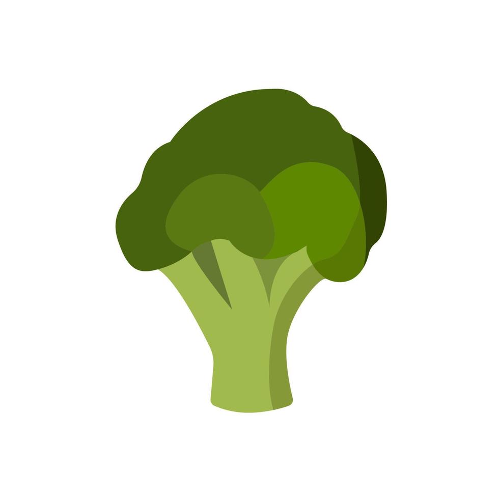 modèle de vecteur de conception d'icône de brocoli