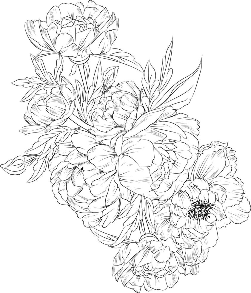 bouquet de fleur de pivoine, croquis faciles d'art de zentangle avec la conception décorative de contour de griffonnage pour des pages à colorier adultes vecteur