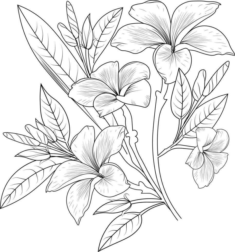 branche de fleurs de plumeria, dessin de fleur de frangipanier, dessin à la main, illustration vectorielle bouquet d'éléments de design vintage de la collection florale naturelle. vecteur