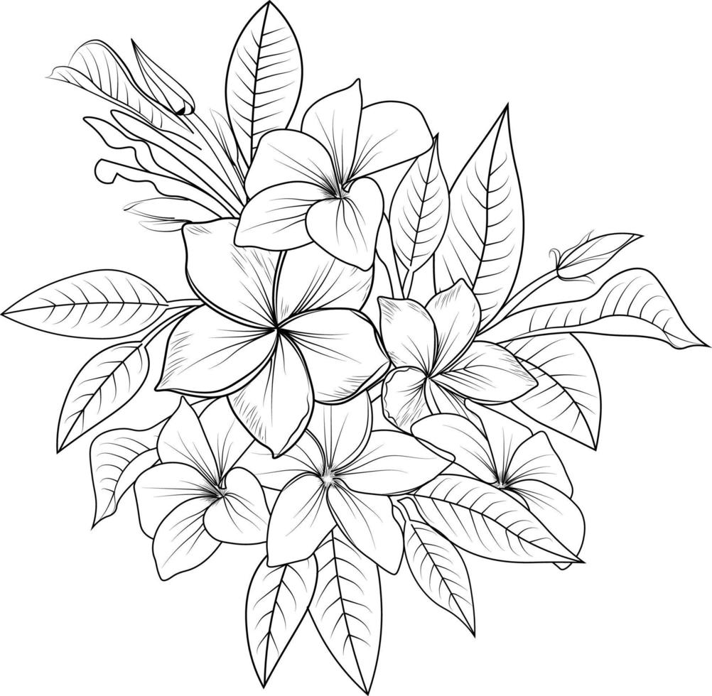 art vectoriel de fleur de frangipanier, illustration vectorielle de fleur tropicale. dessin à la main, croquis noir et blanc, isolé sur fond blanc, bouquet de fleurs plumeria, dessin au trait, illustration vectorielle.