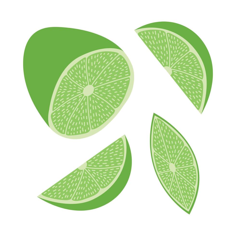 ensemble vectoriel d'illustration de citron vert. différentes formes et tranches de citron vert ensemble de style plat