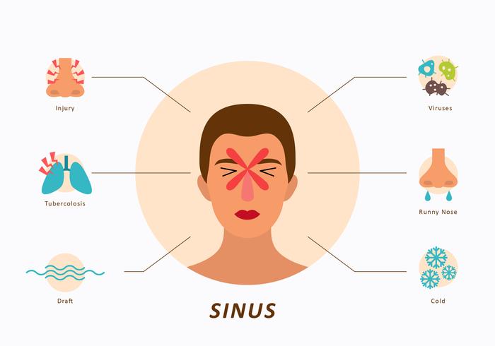 Icône plate de visage et de sinus vecteur