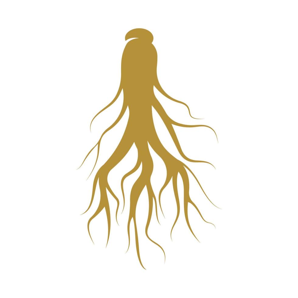 modèle de conception de logo de ginseng et icône de symbole vecteur