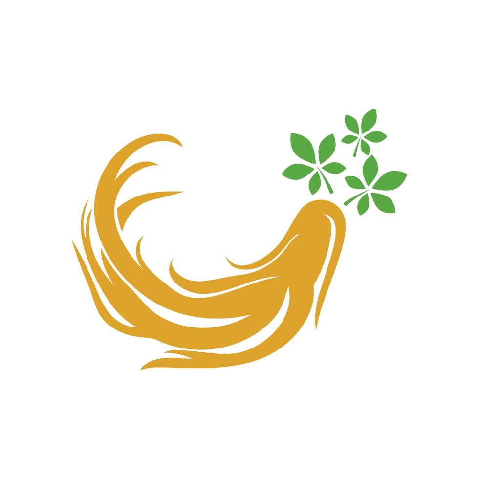 modèle de conception de logo de ginseng et icône de symbole vecteur