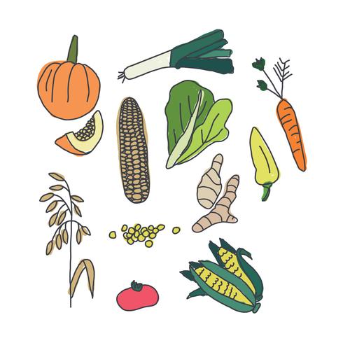 Doodle coloré de légumes vecteur