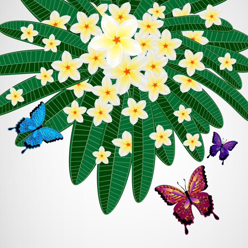 fond de conception florale eps10. fleurs de plumeria avec des papillons. vecteur