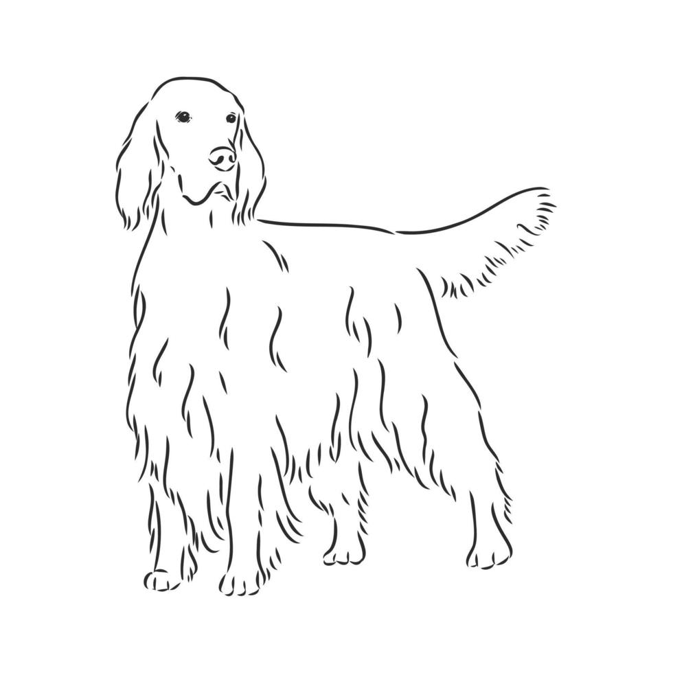 croquis de vecteur de chien