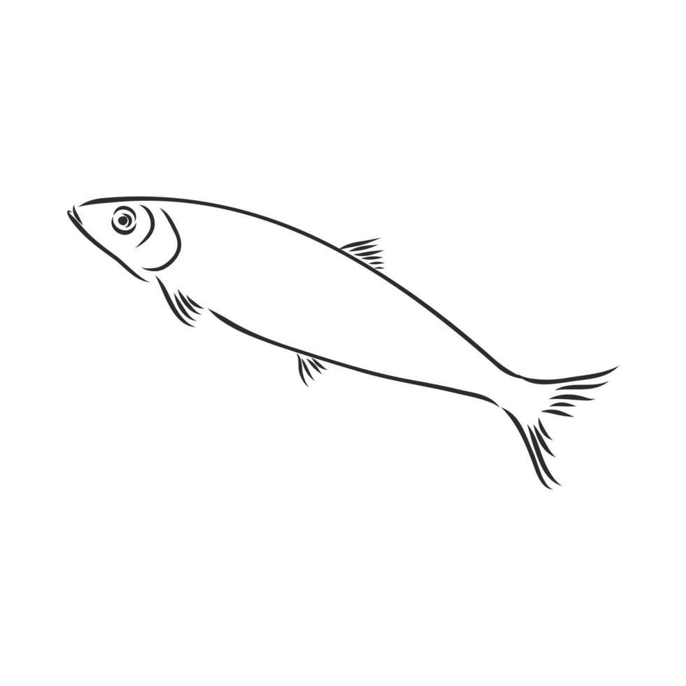 croquis de vecteur de poisson