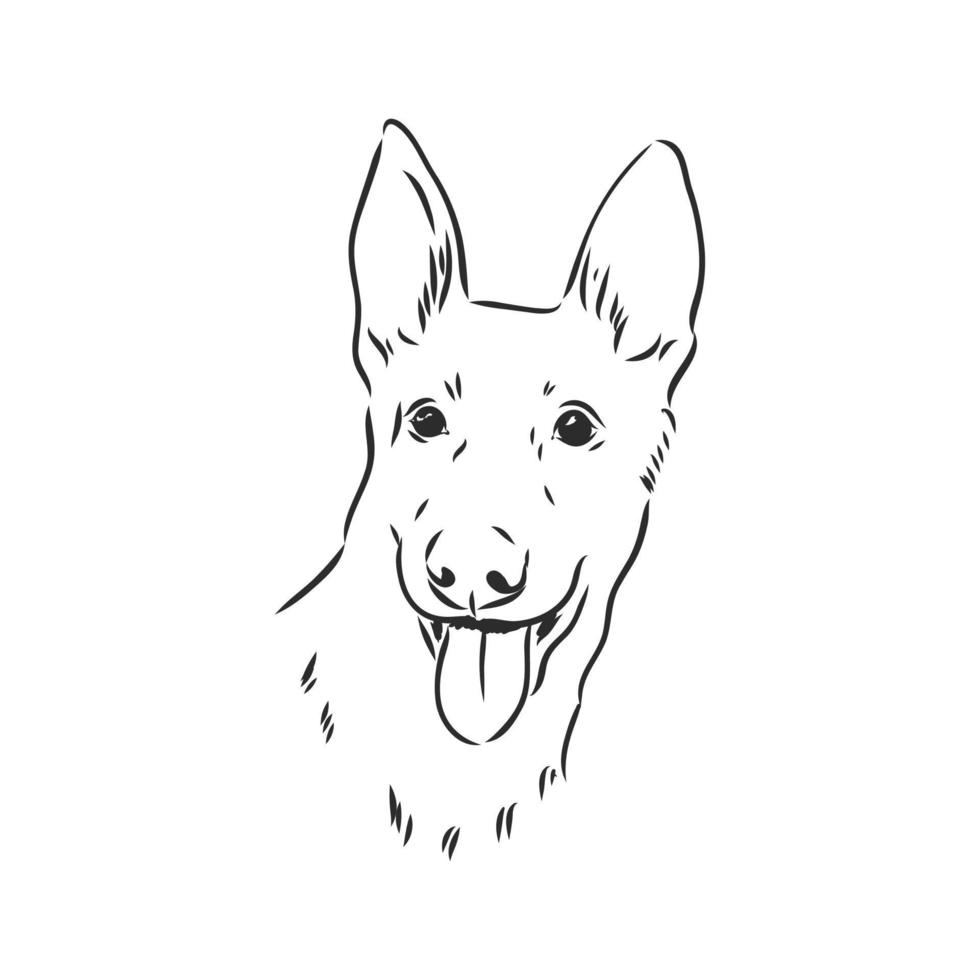 croquis de vecteur de chien