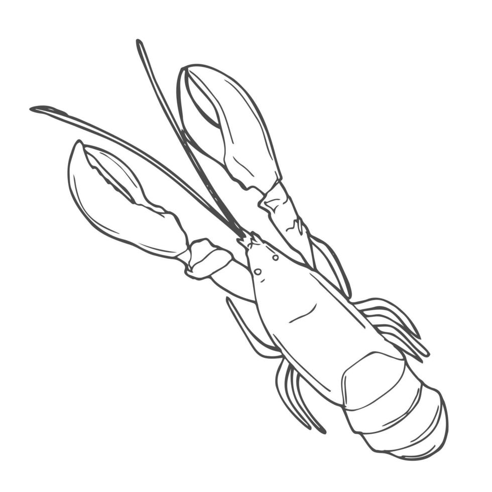 icône de doodle de contour dessiné main de homard. illustration de croquis de vecteur de fruits de mer sains - homard ou cancer pour impression, web, mobile et infographie isolé sur fond blanc.