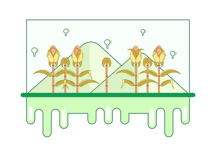 illustration vectorielle de tige de maïs vecteur