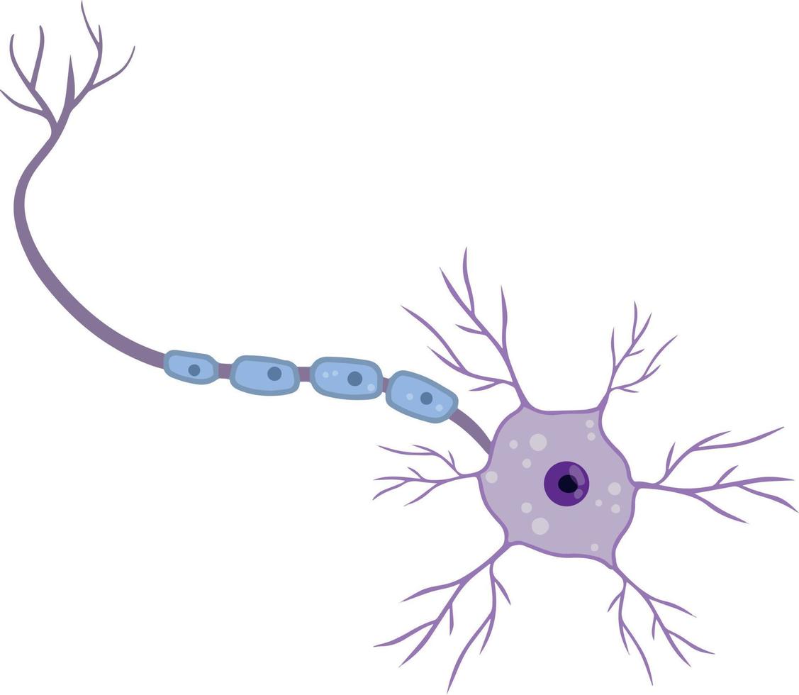 cellule neuronale bleue. l'activité cérébrale et les dendrites. membrane et le noyau. illustration de dessin animé scientifique. microbiologie et esprit vecteur