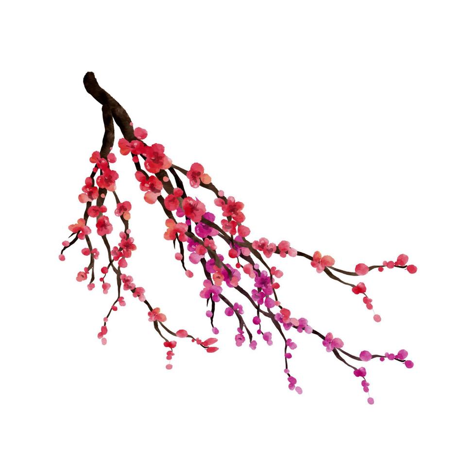 aquarelle de branches de fleurs de cerisier. branche de fleur de sakura dessinée à la main isolée sur illustration vectorielle fond blanc vecteur