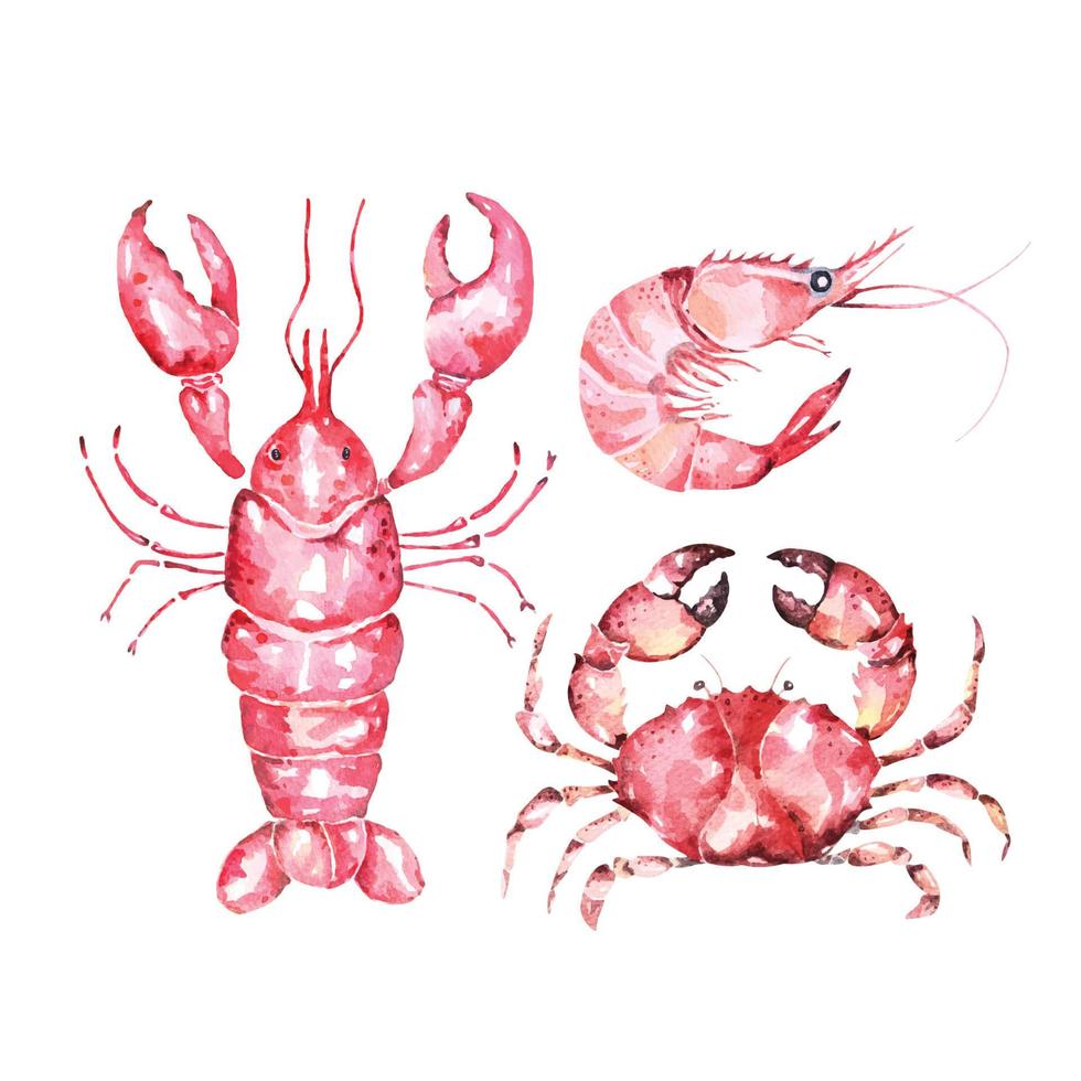 fruits de mer frais. homard, crevettes, crabe et crustacés dessinés à la main à l'aquarelle. créatures marines. vecteur