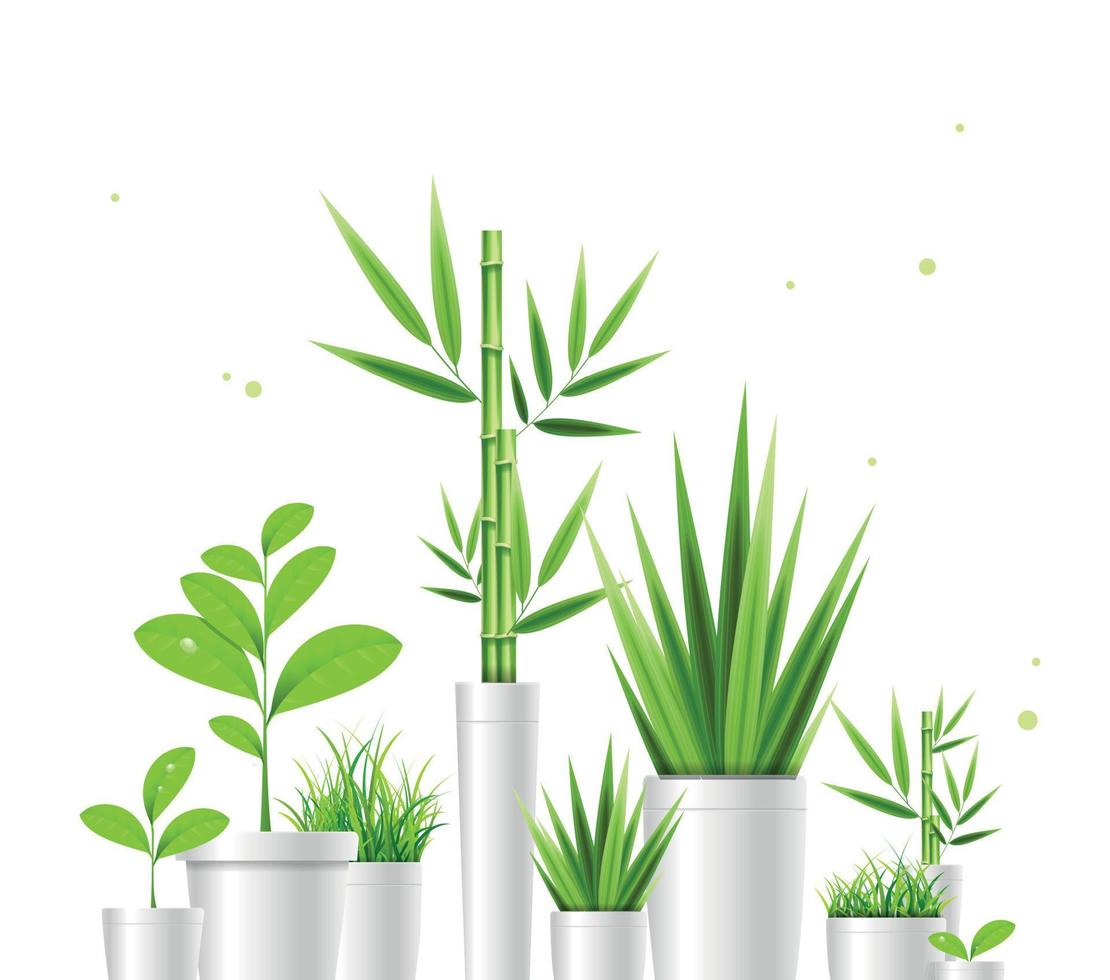 ensemble de pots de plantes vertes 3d réalistes et détaillés. vecteur