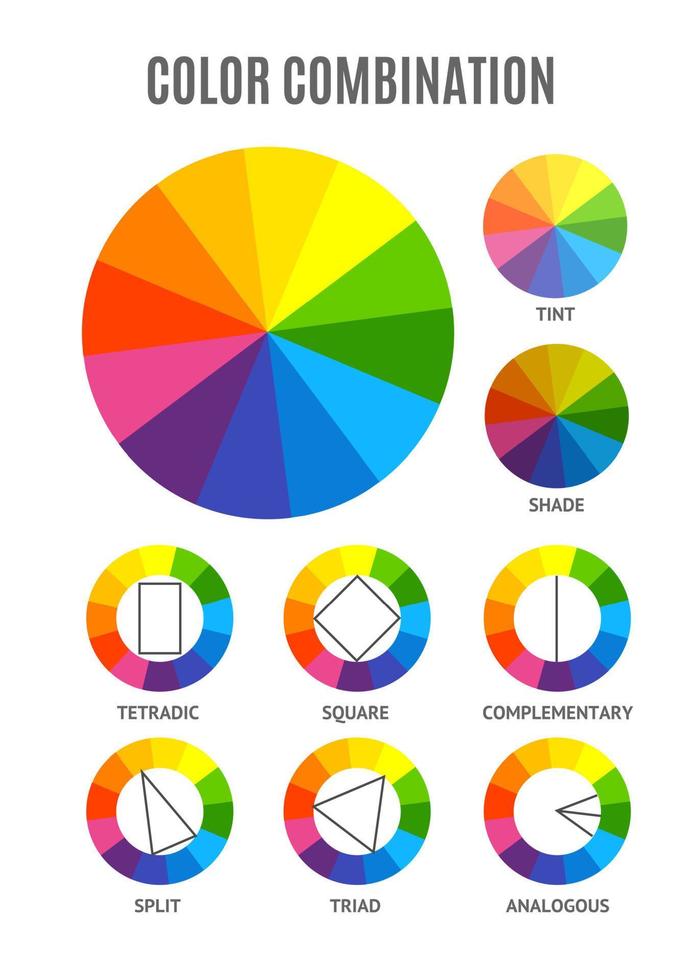 ensemble de combinaisons de palettes de cercles de couleurs différentes. vecteur