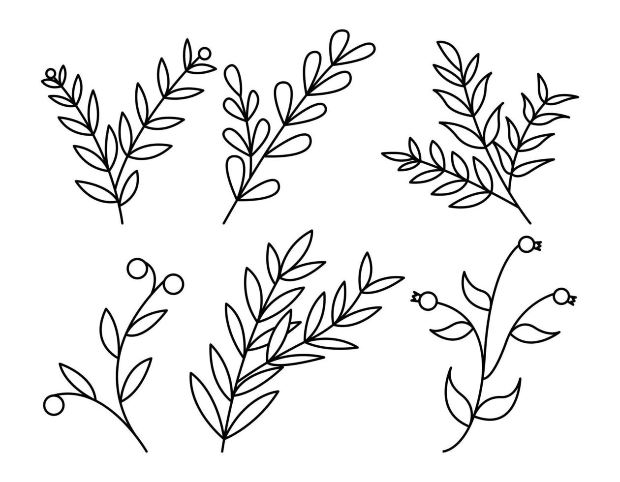 ensemble de branches de plantes doodle dessinés à la main tige dans le style de contour vecteur