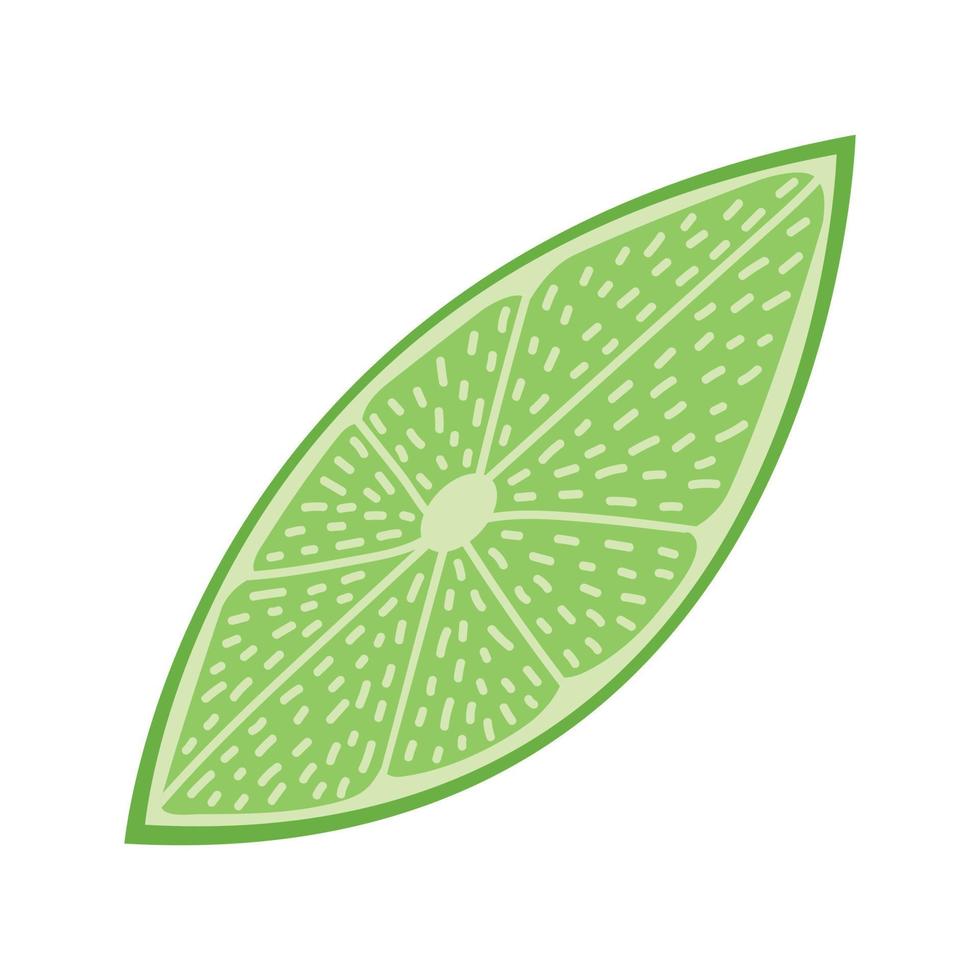 illustration vectorielle de citron vert. tranche de citron vert vecteur plat isolé