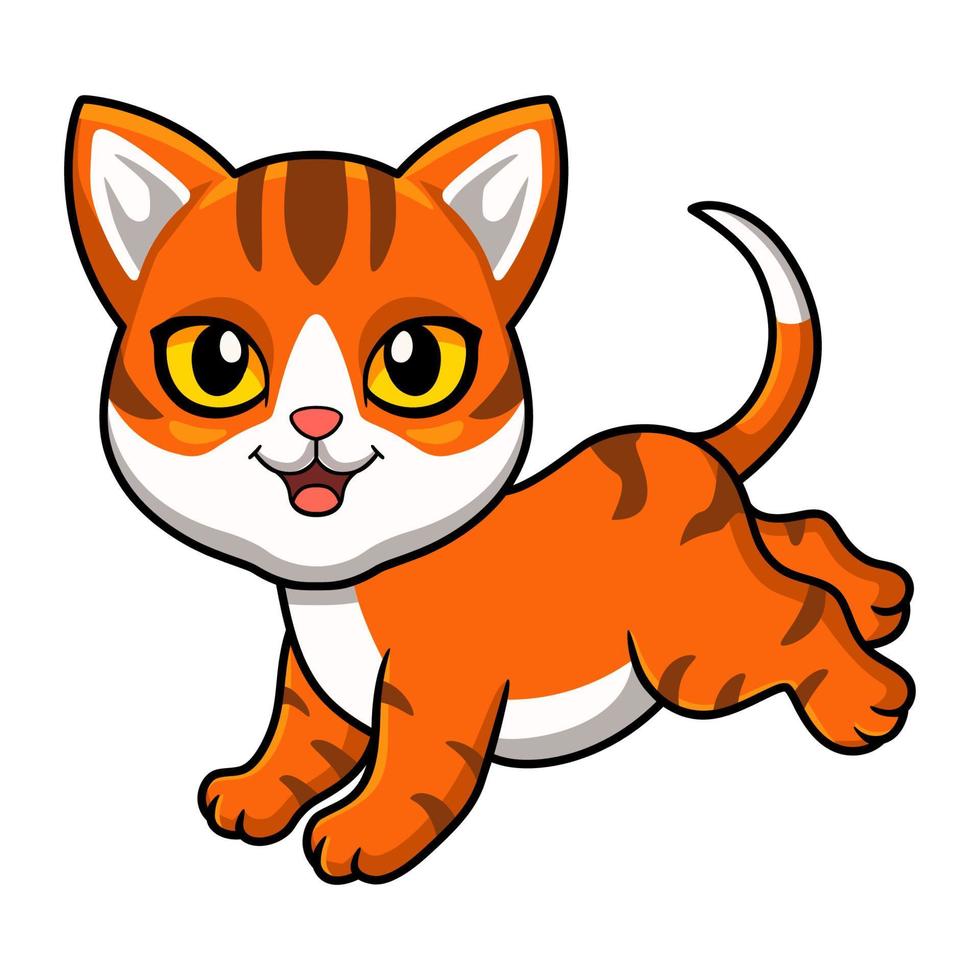 dessin animé mignon chat tigré orange vecteur