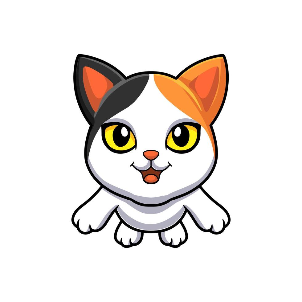 dessin animé mignon chat bobtail japonais vecteur