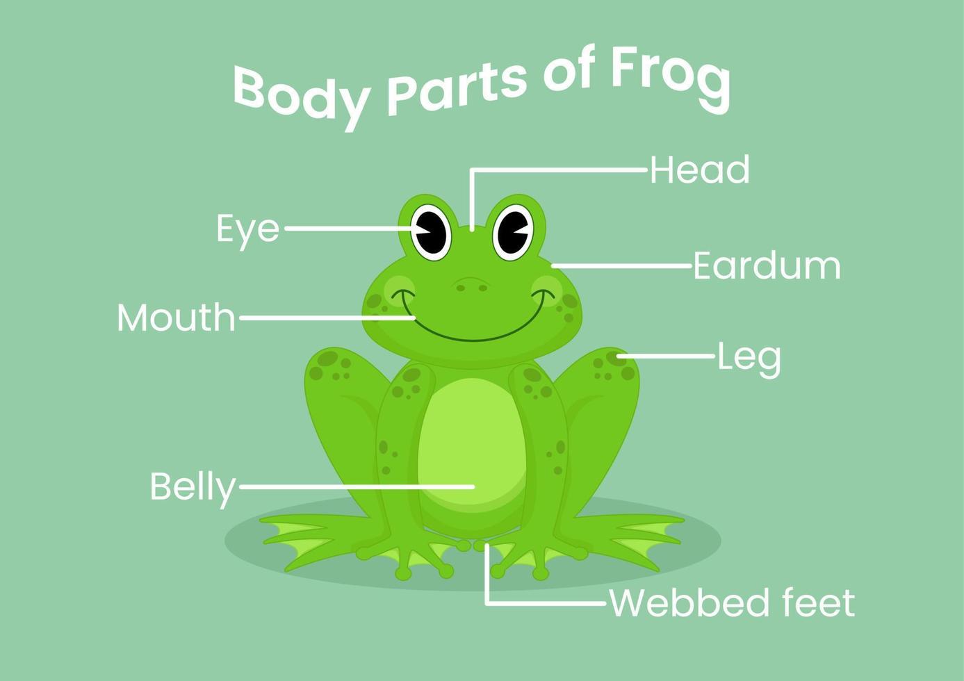 parties du corps de vecteur de la grenouille de dessin animé mignon. Anatomie des animaux en anglais pour les enfants. apprendre des mots.