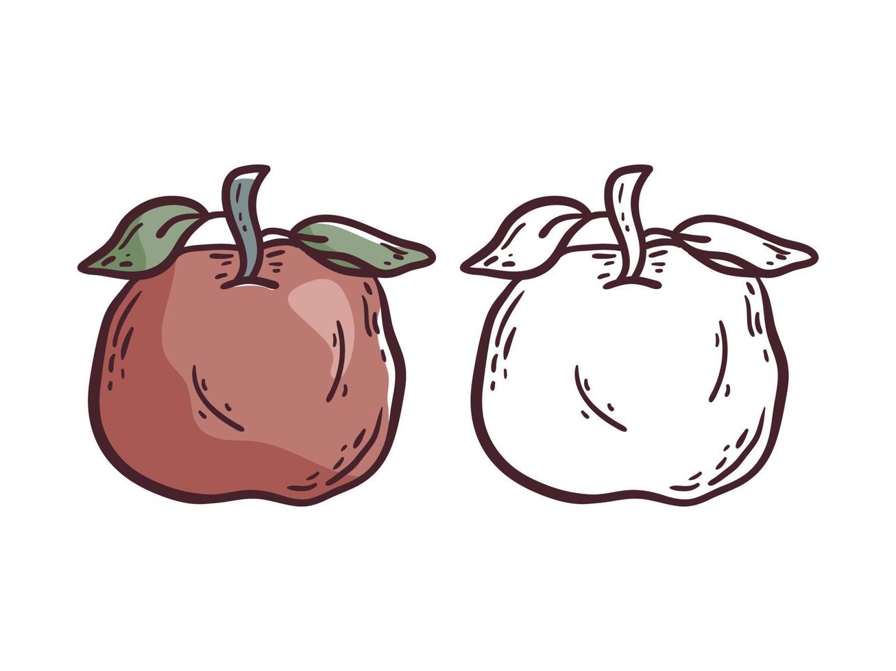 illustration vectorielle simple doodle. deux variantes de l'icône de pomme de dessin animé, colorée et blanche avec des traits noirs. élément de conception sur fond blanc. vecteur