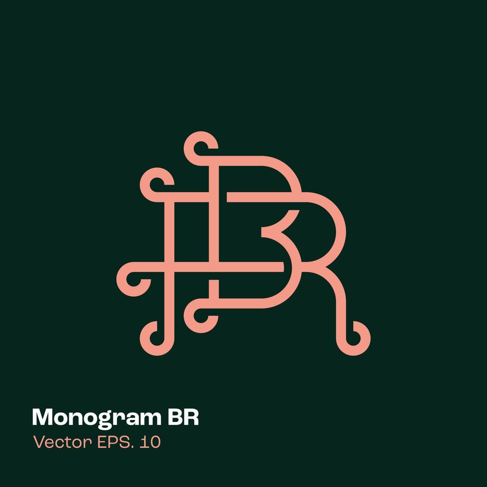 monogramme logo br vecteur