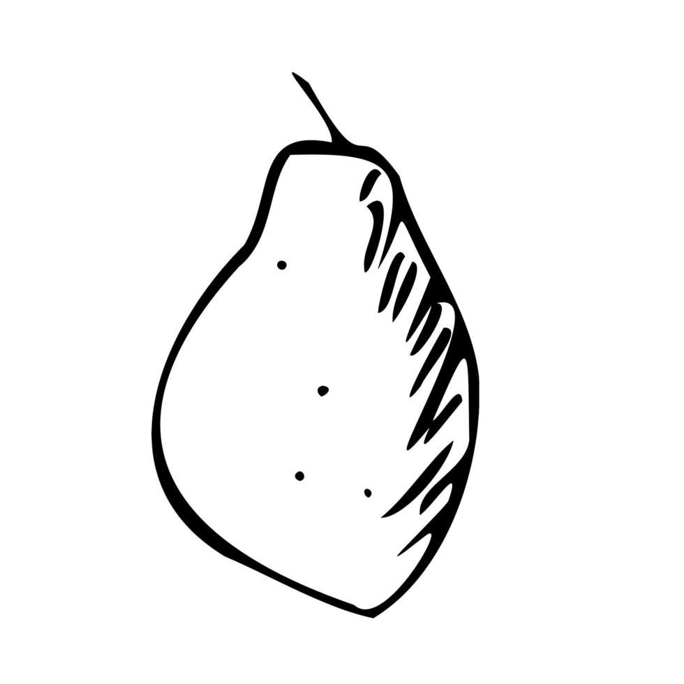 pomme d'agrumes de fruits. jardin de plantes. style de griffonnage. icône du logo. vecteur