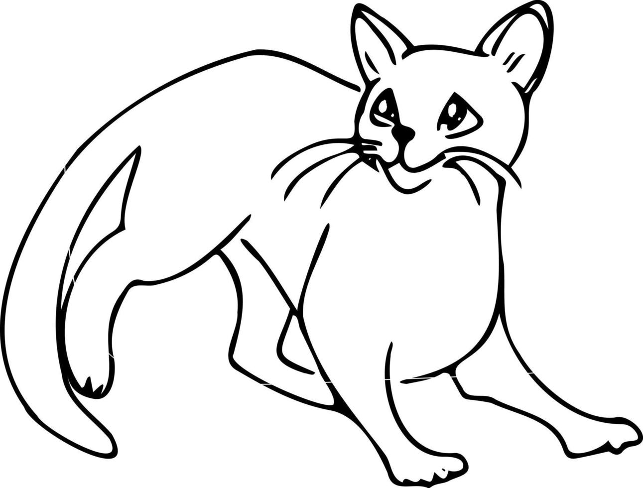 chat animal mignon, sommeil joue style .doodle .livre de coloriage d'illustration pour enfants. vecteur