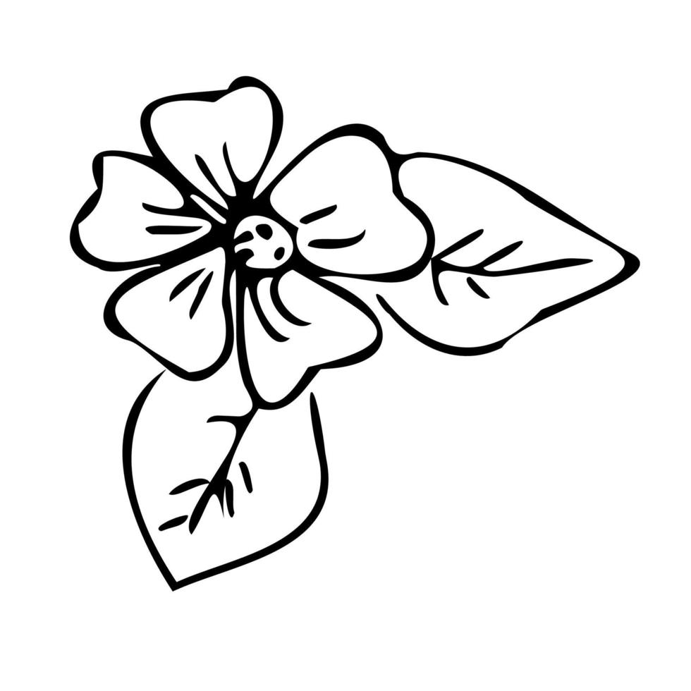 enveloppe coeur fleur. lettre avec des fleurs. style de griffonnage. vecteur