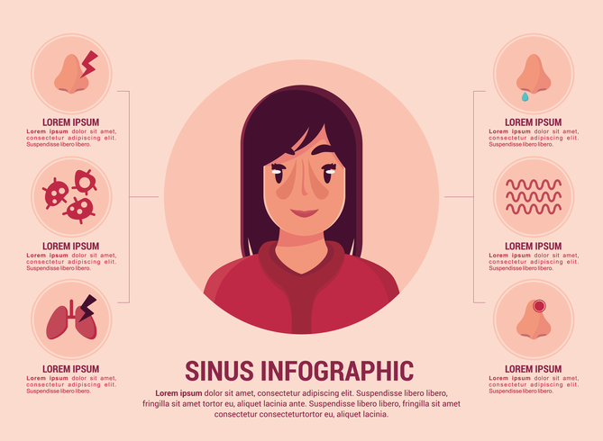 Sinus infographique vecteur