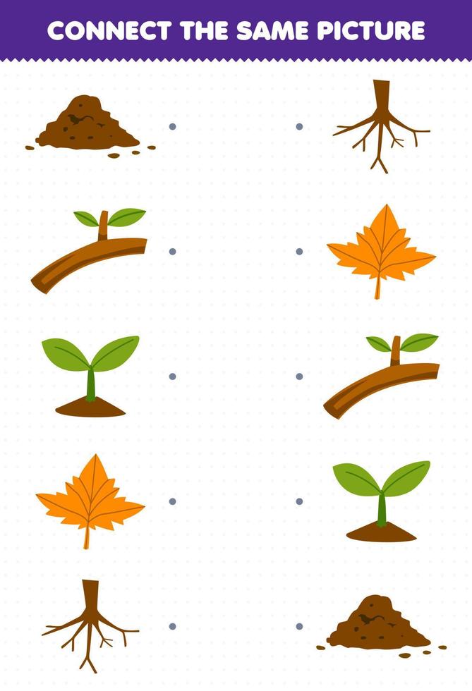 jeu d'éducation pour les enfants connecter la même image de dessin animé sol branche graine plante feuille racine imprimable nature feuille de travail vecteur