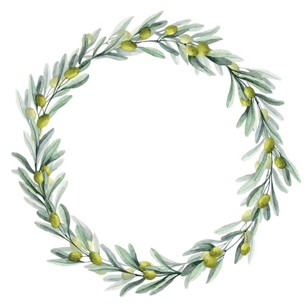 couronne ronde d'olive aquarelle avec feuilles vertes et fruits. cadre circulaire pour les invitations de mariage ou les cartes de voeux. illustration florale dessinée à la main sur fond isolé. dessin botanique de laurier vecteur