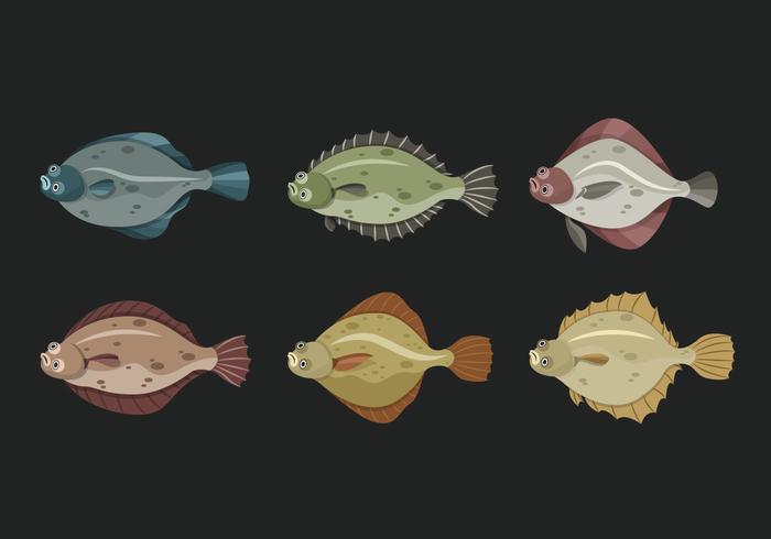 Flounder Fish Illustration vectorielle mignon vecteur