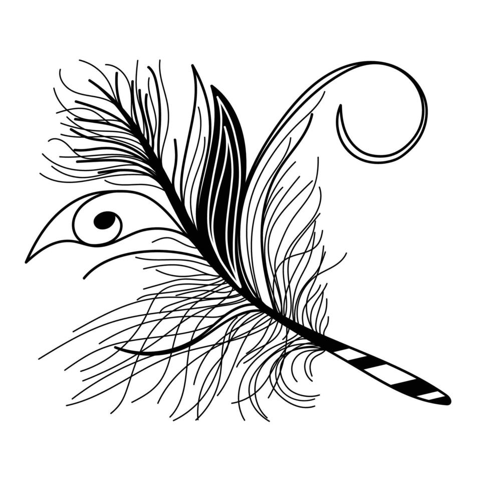 plume décorative de vecteur. plume noire et blanche vecteur
