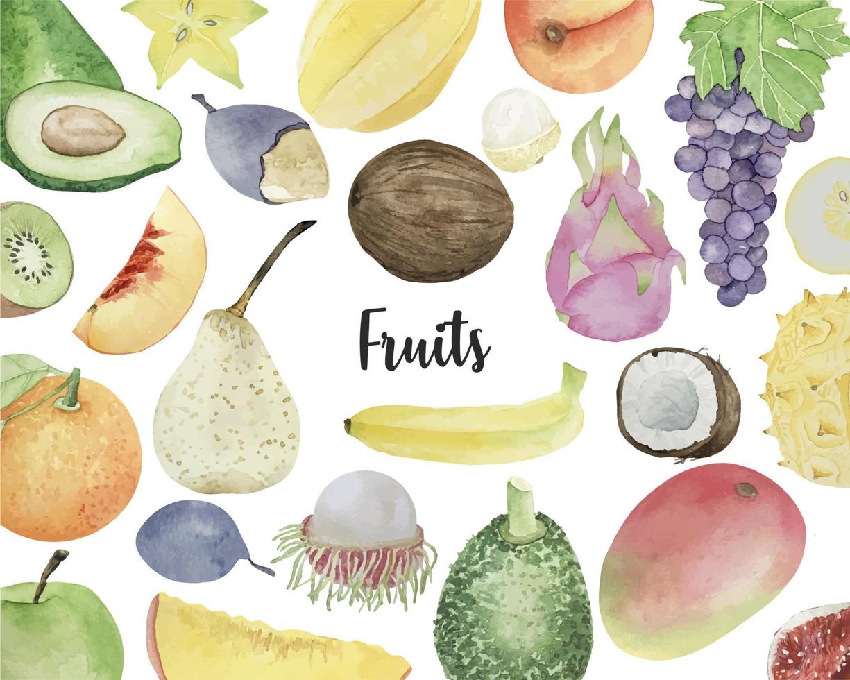 fond aquarelle avec divers fruits sur fond blanc, vue de dessus, mise en page plate. concept d'alimentation saine, arrière-plan alimentaire. cadre de fruits vecteur