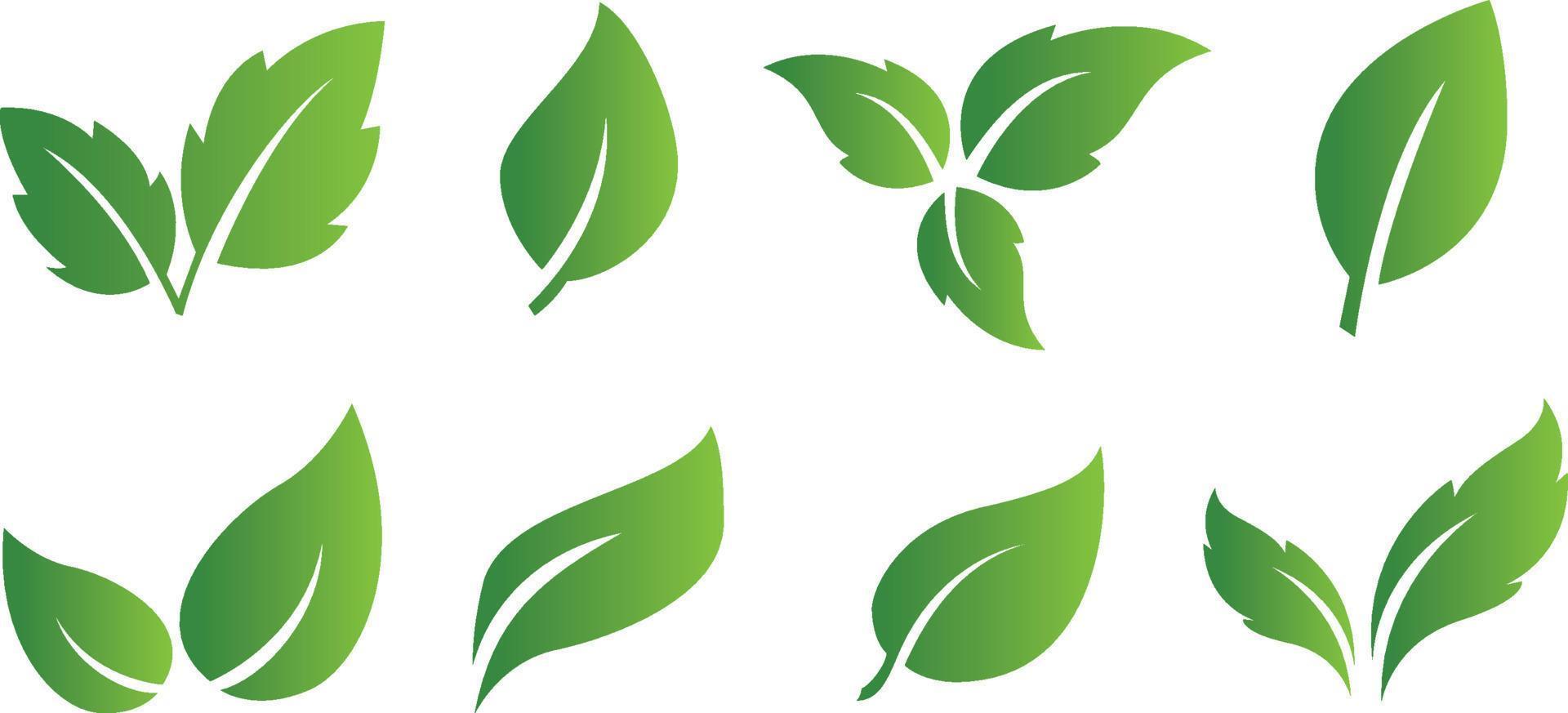 ensemble d'icônes abstraites de feuilles vertes isolées sur fond blanc vecteur