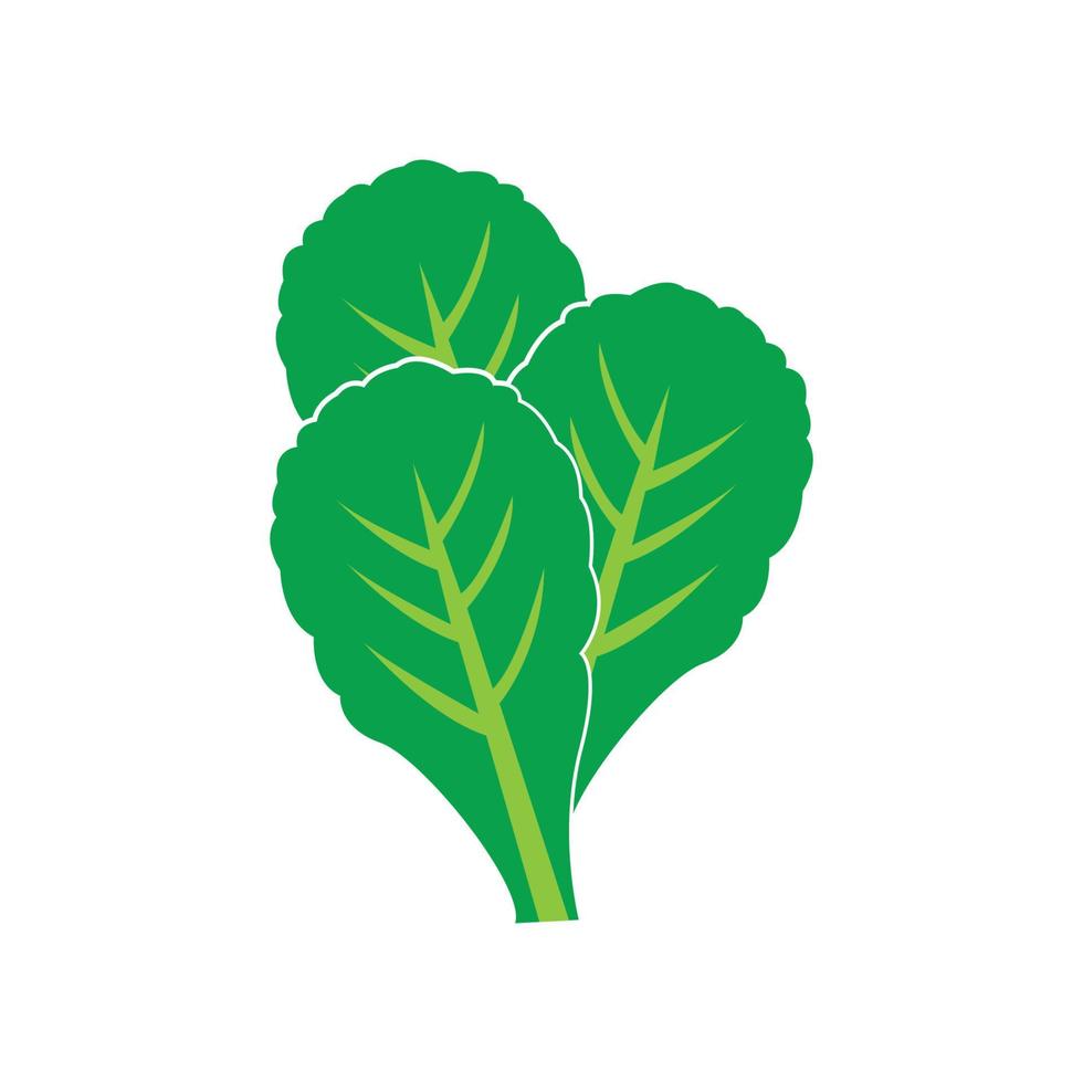 logo de légumes aux épinards frais, conception d'illustration vectorielle d'icône vecteur