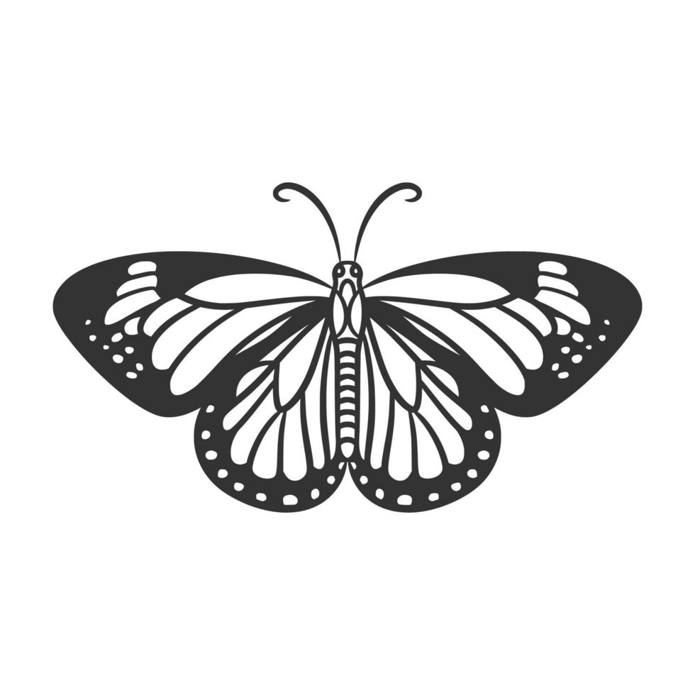 beauté papillon dessin au trait illustration noir et blanc vecteur