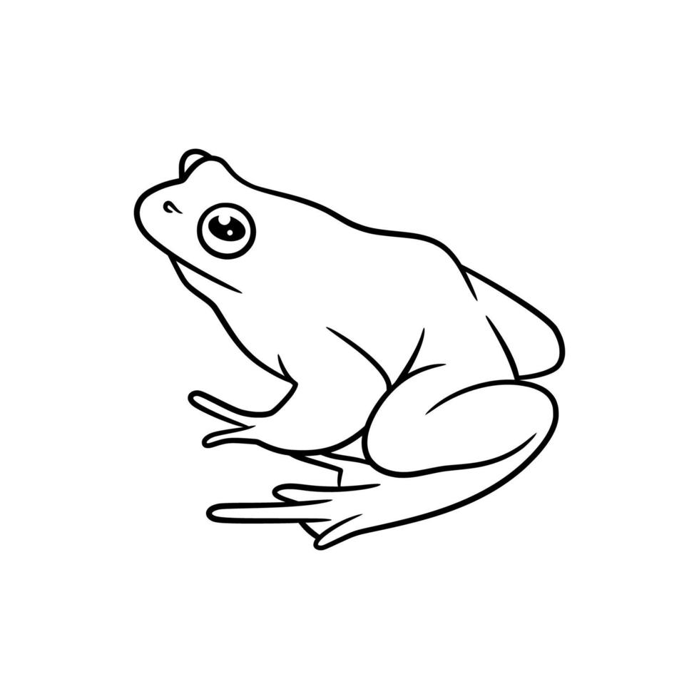 grenouille dessin au trait dessin illustration vecteur